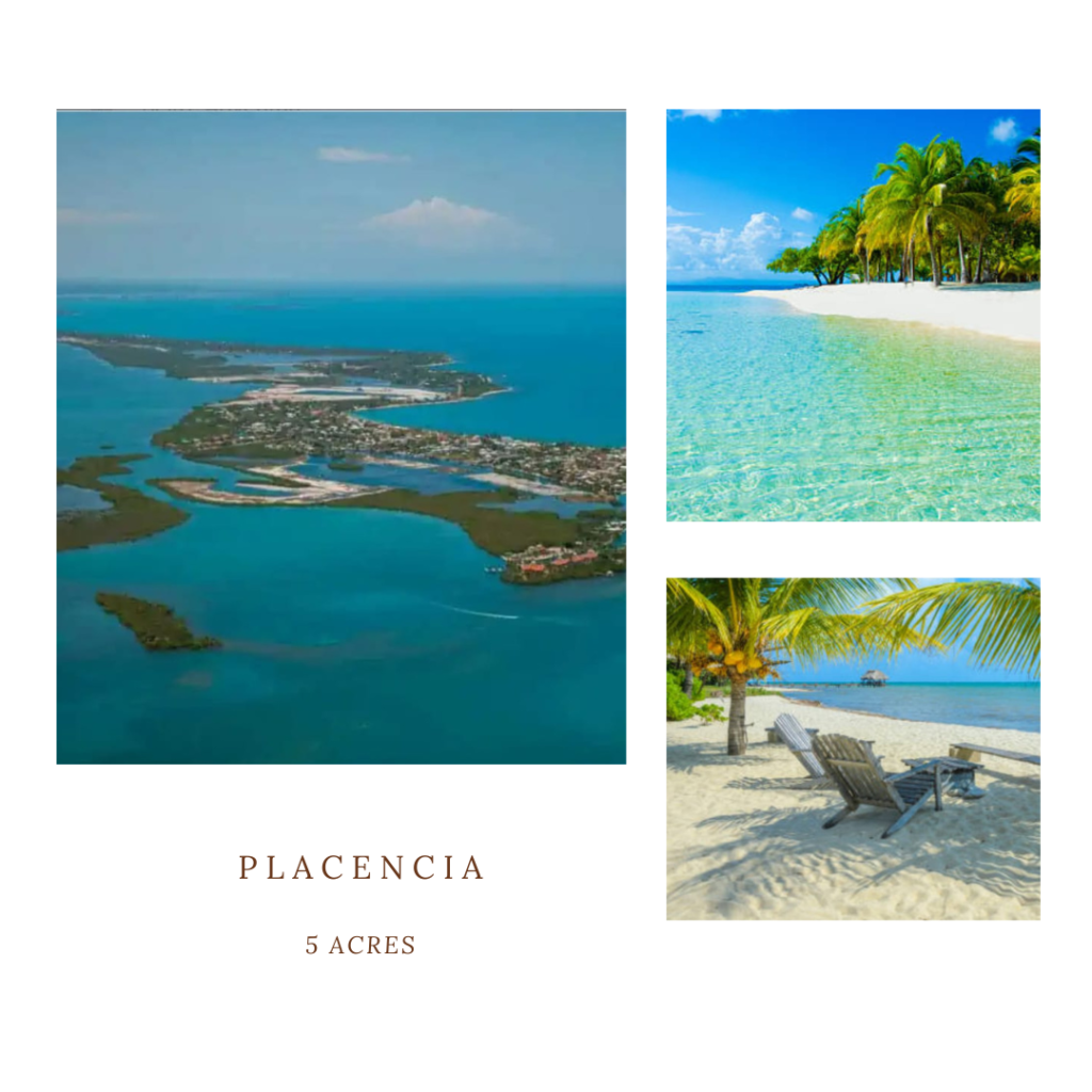 placencia collage