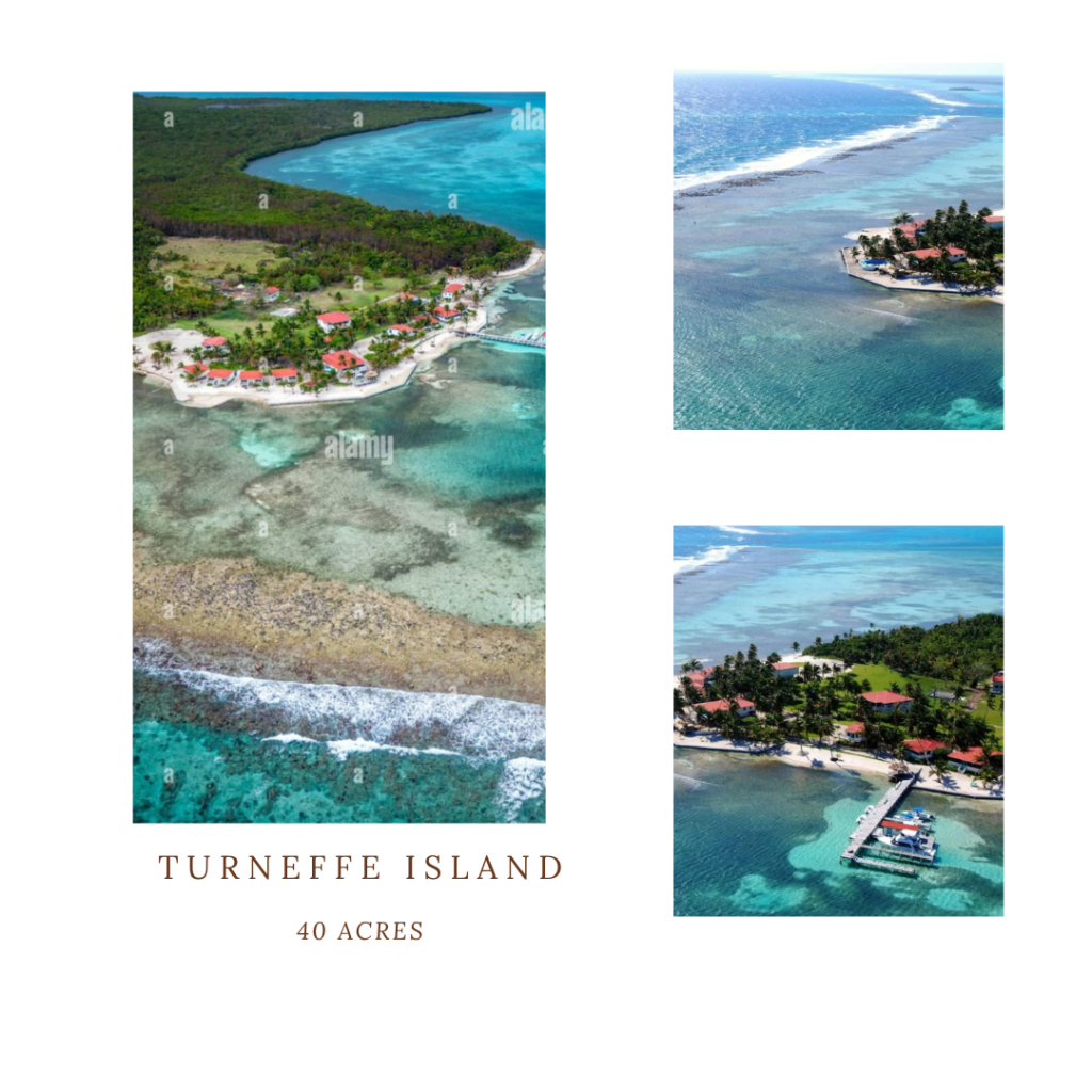 turneffe caye collage